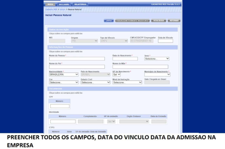 Como fazer o cadastro do PIS pelo Conectividade Social? - Dominando a ...