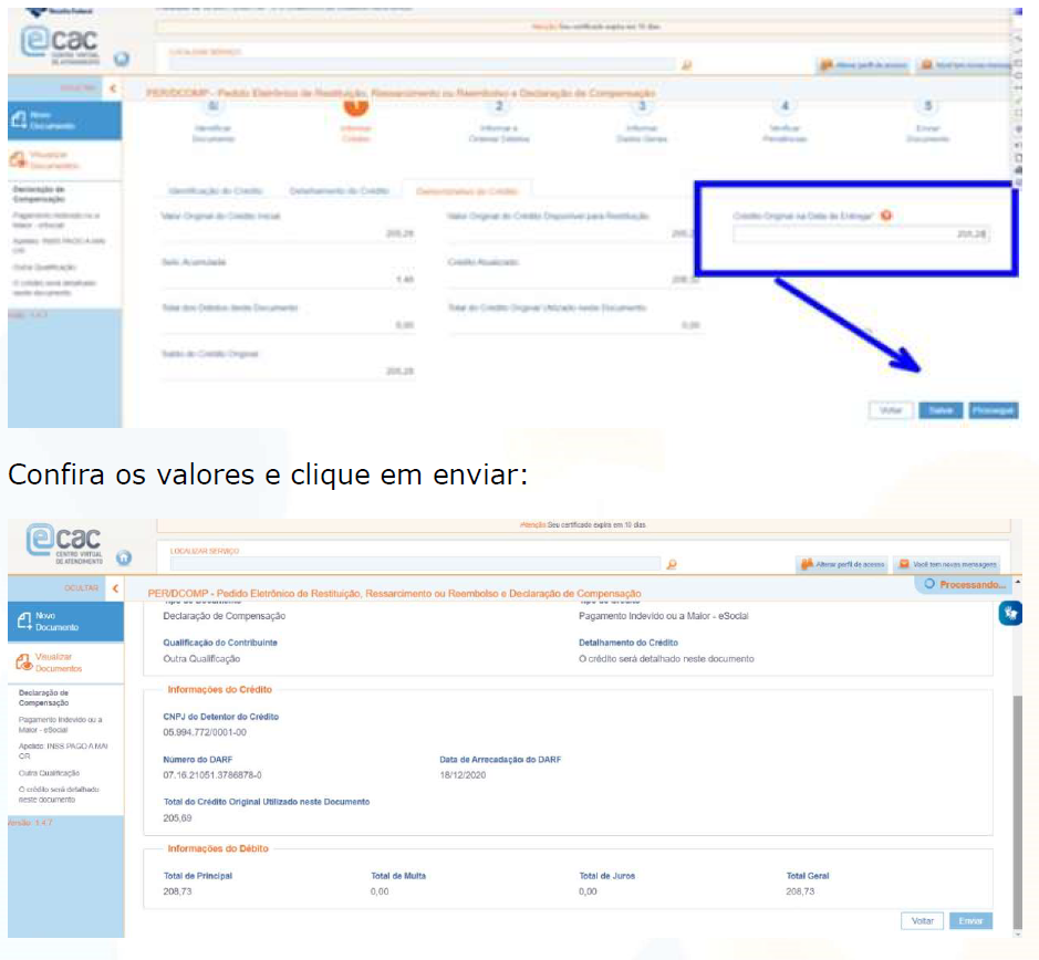 Passo A Passo De Como Fazer Perdcomp Web De Um Darf Pago A Maior No Esocial Dominando A 2419