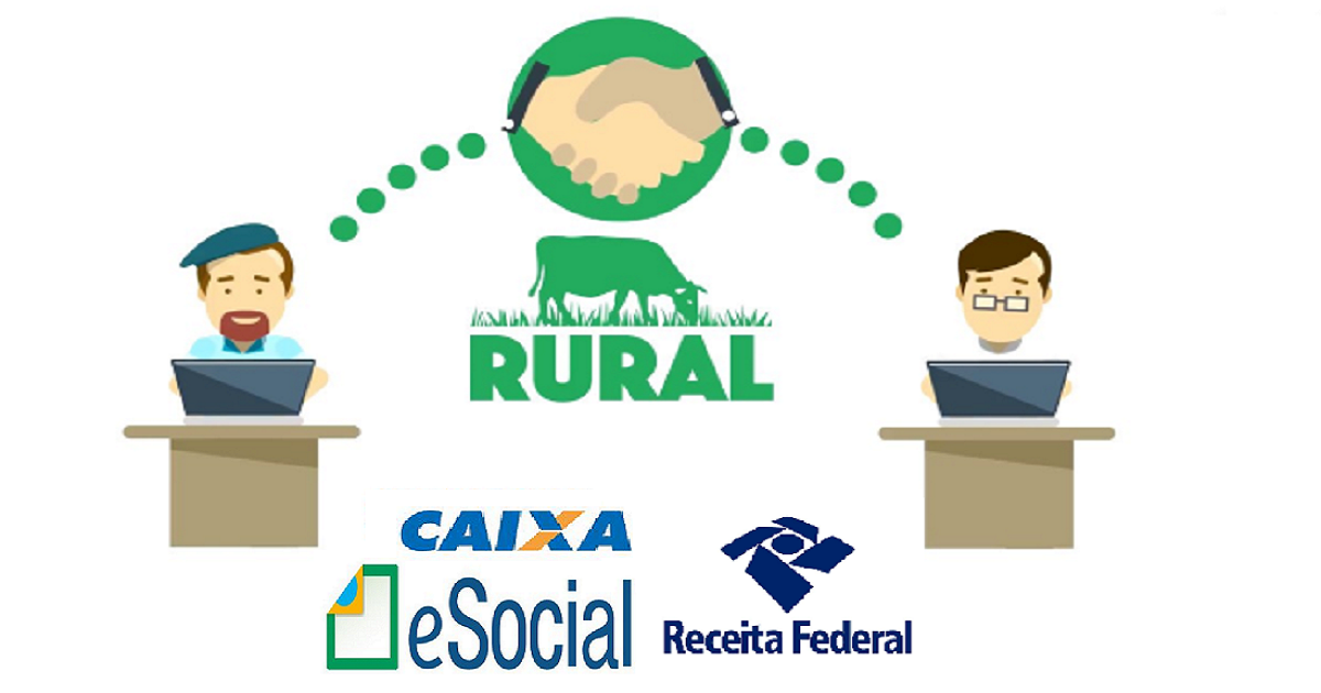 Quais informações e alterações enviar após fazer opção pela contribuição previdenciária do Produtor Rural?