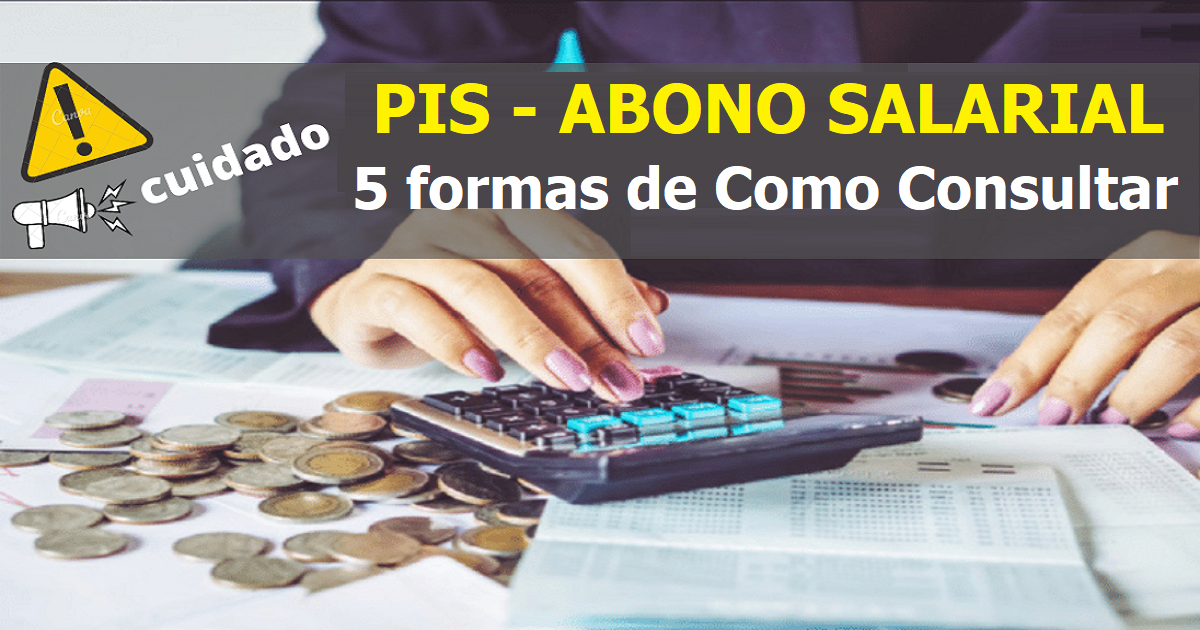 Como Consultar se você tem Direito ao Recebimento do Abono Salarial - PIS