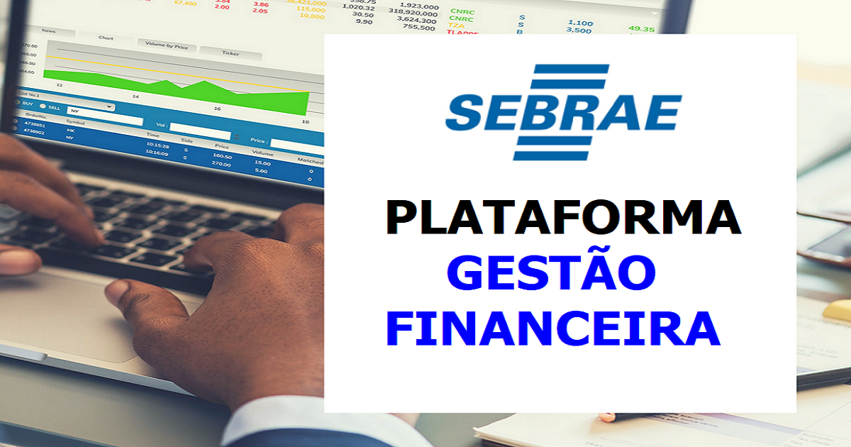 sebrae plataforma de gestão financeira 