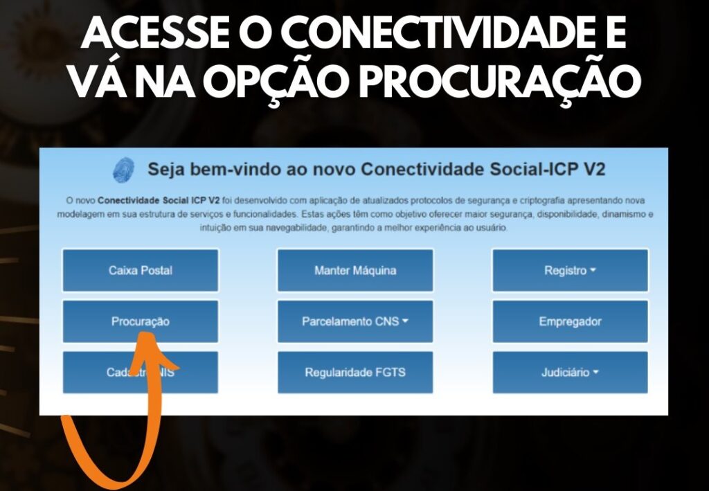 como acessar o novo conectividade social 