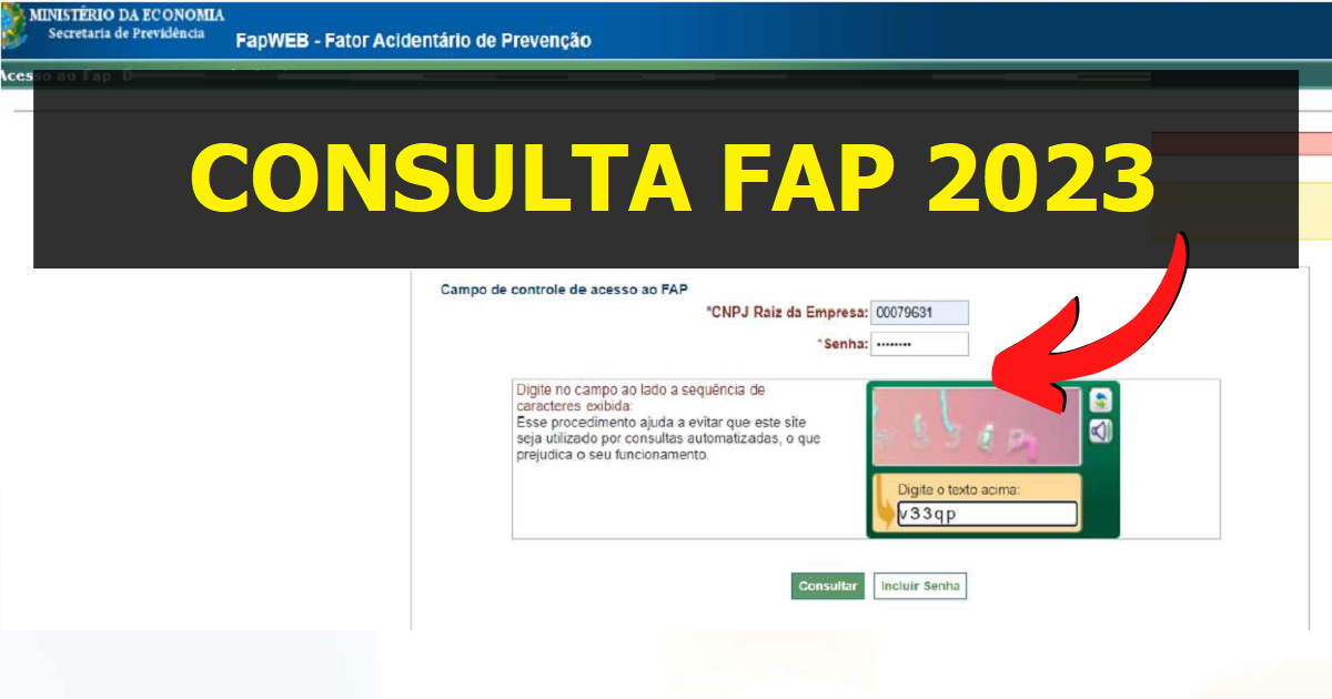 como fazer a consulta FAP 2023