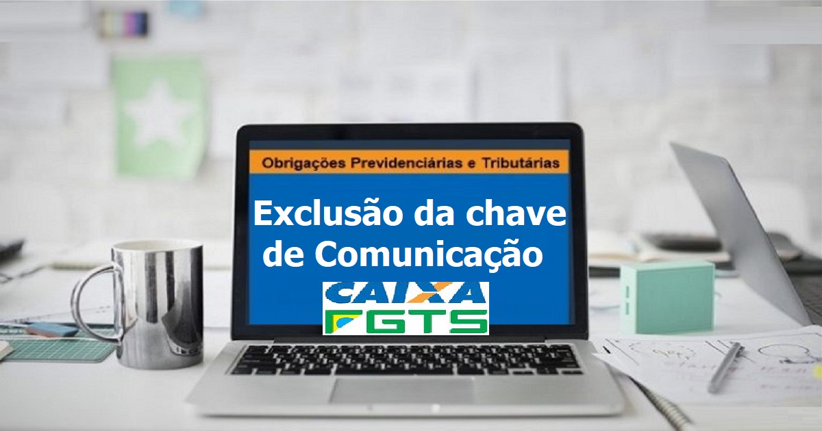 Como solicitar a exclusão da chave de comunicação pelo site?